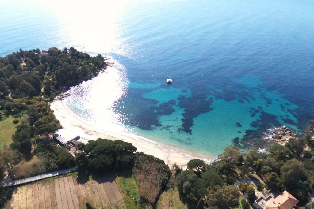 Les Terrasses Lägenhet Bormes-les-Mimosas Exteriör bild